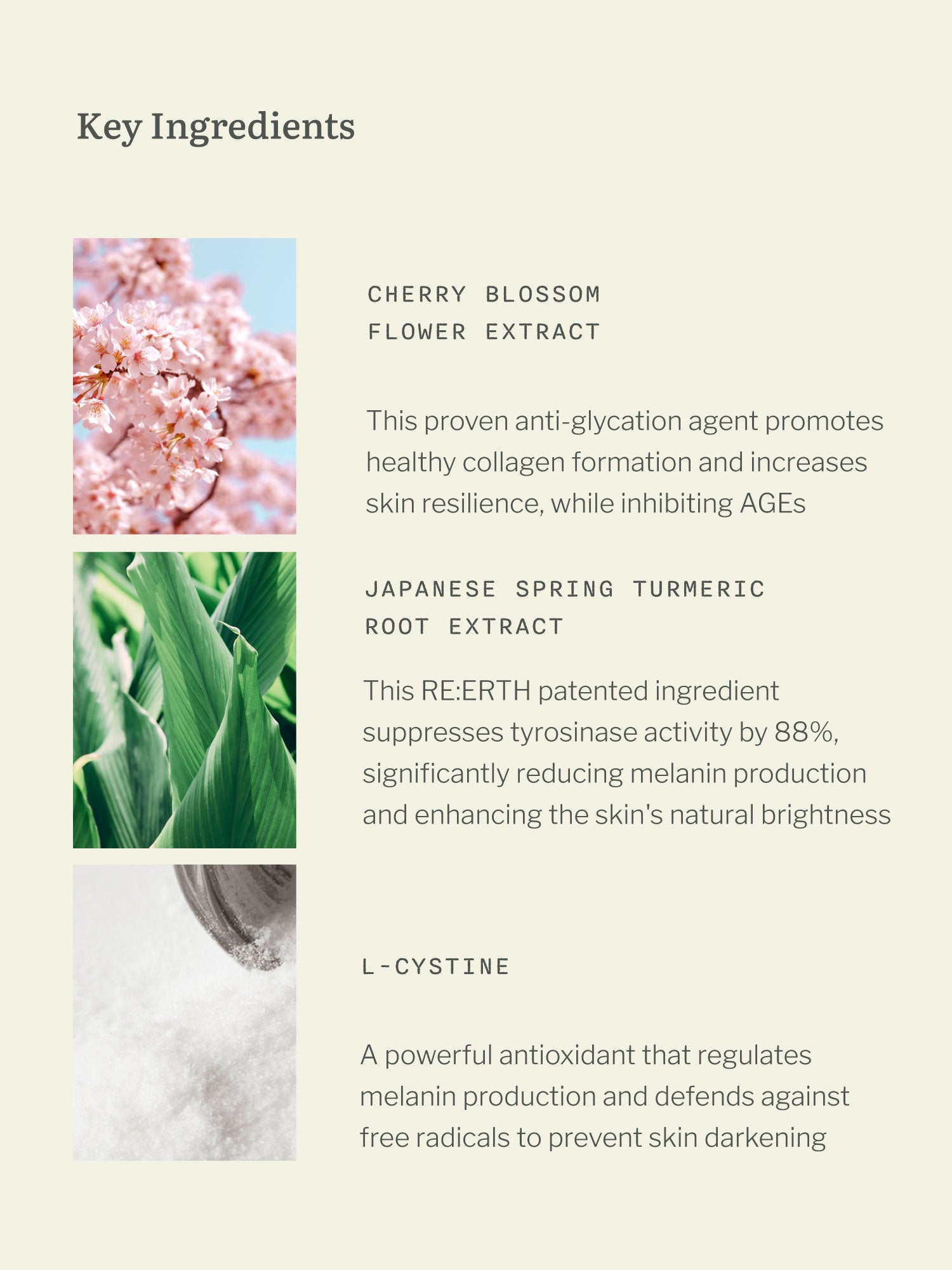 PhytoBright+