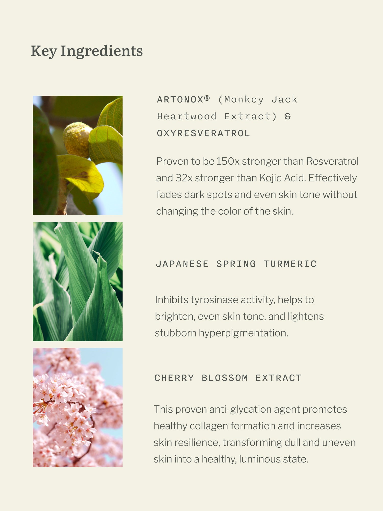 Illuminating Concentrate