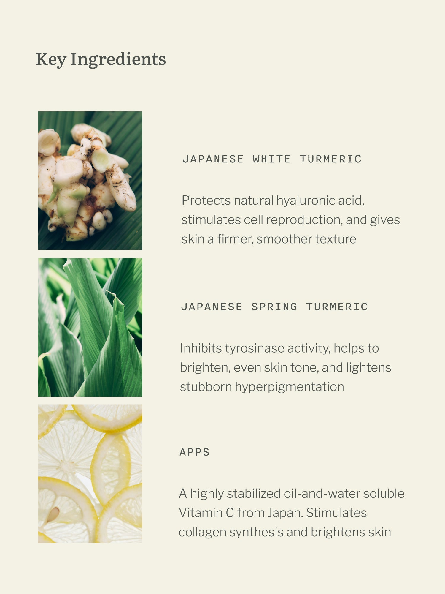 Multi-Targeted Elixir